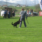 IMG_2949.JPG