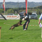 IMG_2923.JPG