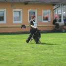 IMG_2925.JPG
