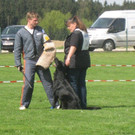 IMG_2936.JPG