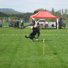 IMG_2937.JPG