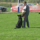IMG_2939.JPG