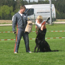 IMG_2947.JPG