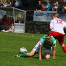 IMG_5699_jpg-1368129144