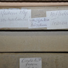 hut24_jpg-1368131947