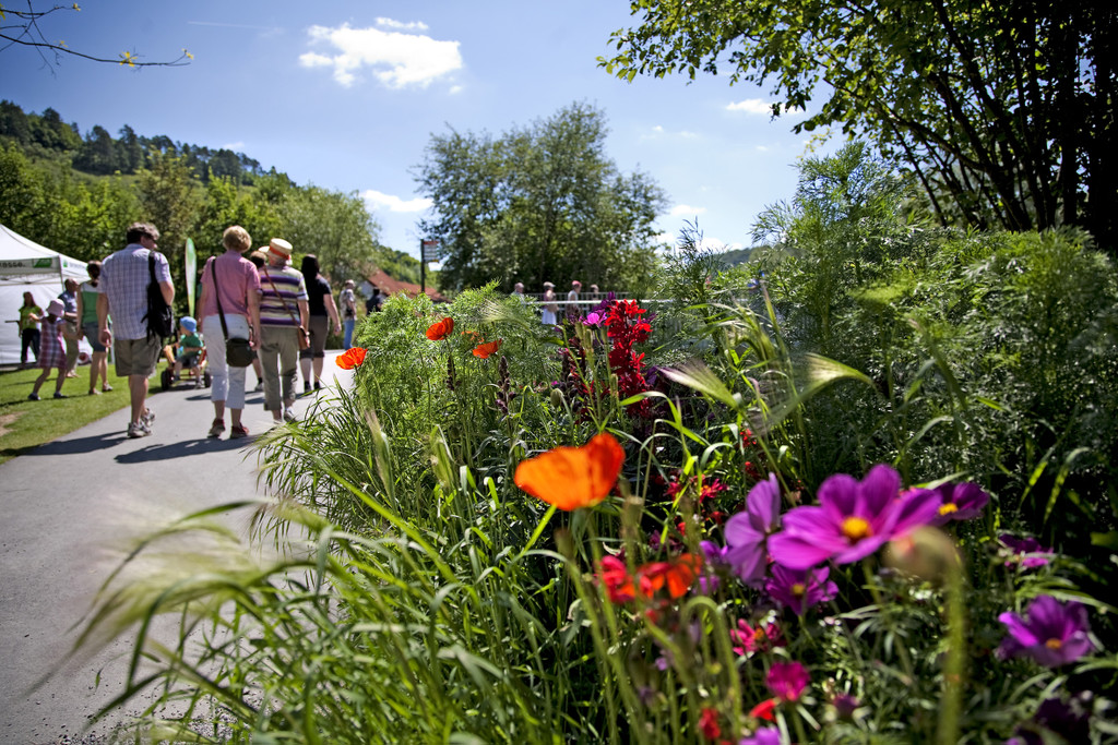 Gartenschau_Sigmaringen1_jpg-1368134258