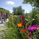 Landesgartenschau Sigmaringen