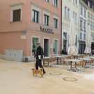 DSCN7888_JPG-1368135102