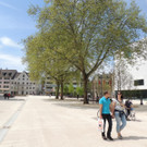 DSCN9826_JPG-1368135357