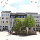 DSCN9926_JPG-1368135398