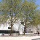 DSCN9953_JPG-1368135420