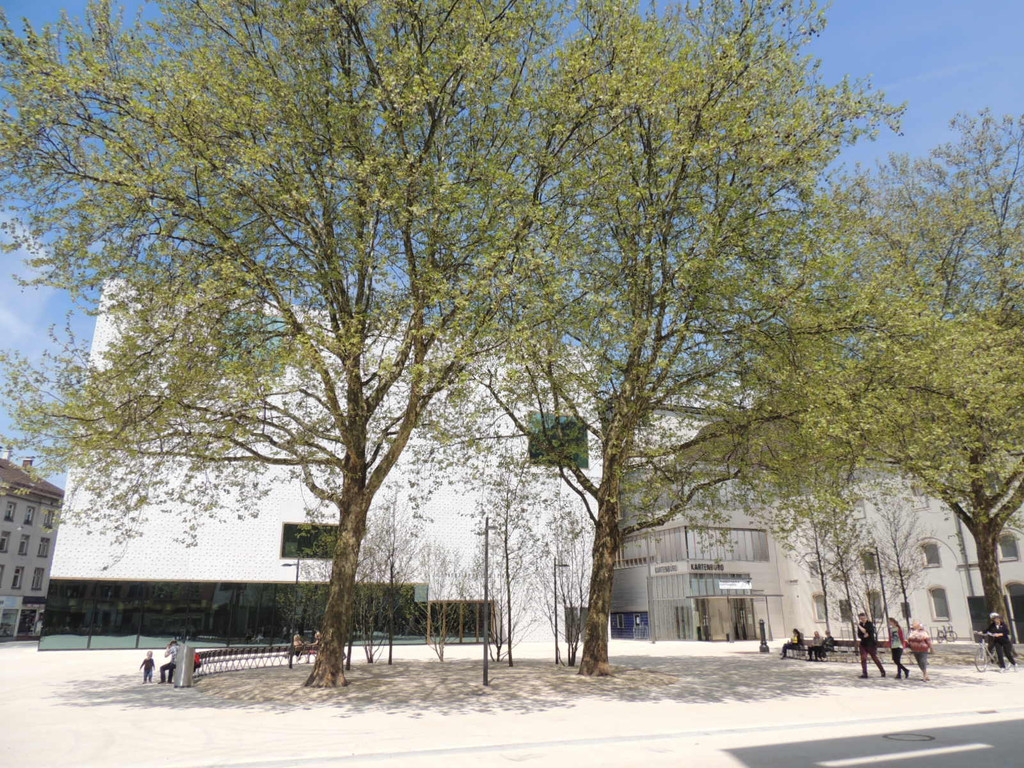 DSCN9953_JPG-1368135420