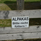 01052013alat05_009aktivnews016.jpg
