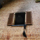 IMG_6000.JPG