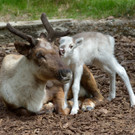 ABD0017-20130502.jpg