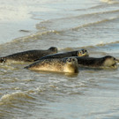ABD0006-20130508.jpg