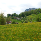 DSC07051.JPG