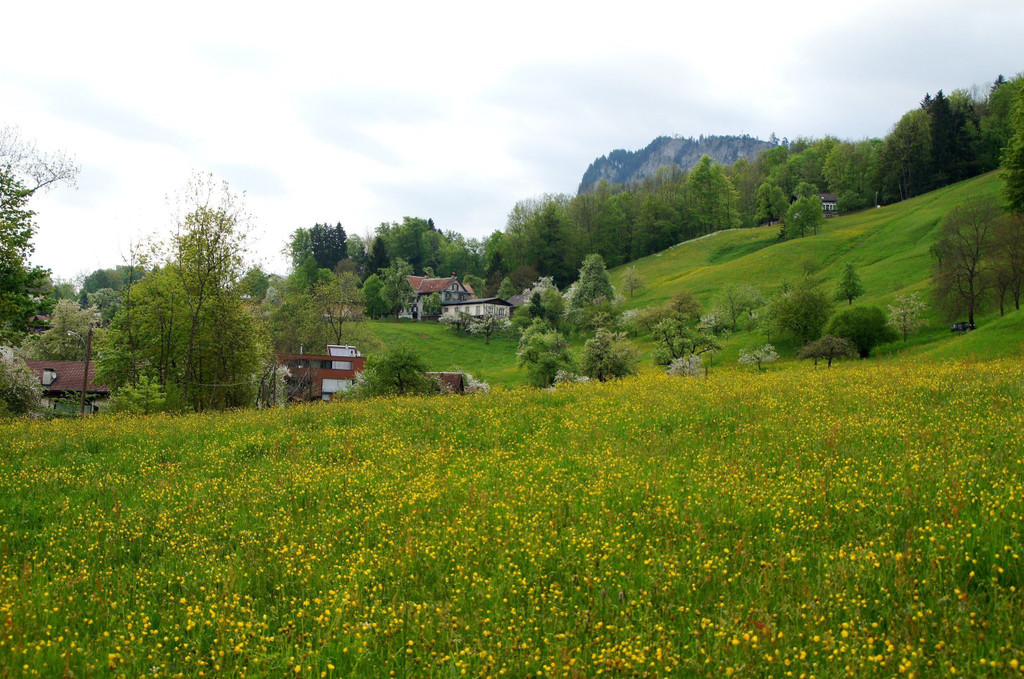 DSC07051.JPG