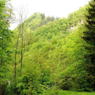 DSC07062.JPG