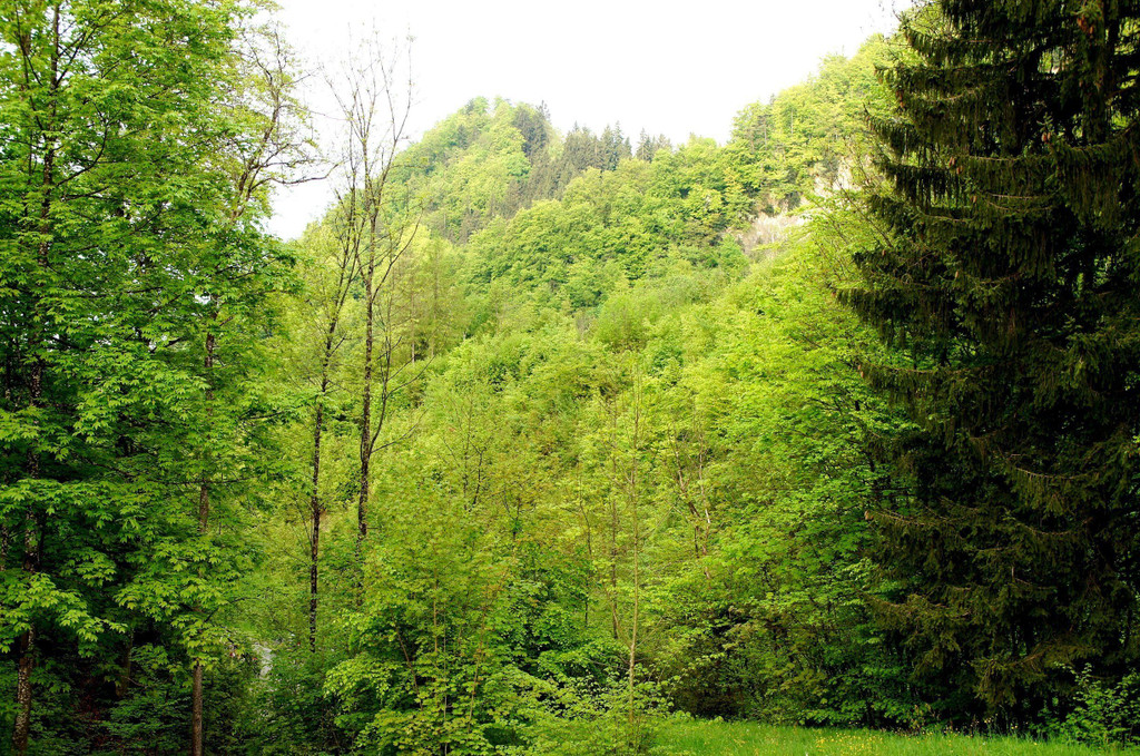 DSC07062.JPG