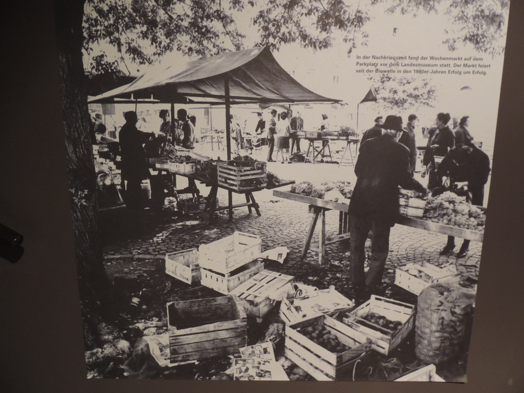 DSCN0471_JPG-1368208508