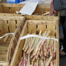 IMG_4872_jpg-1368264078