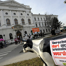 Tierschützer-Prozess in Wiener Neustadt