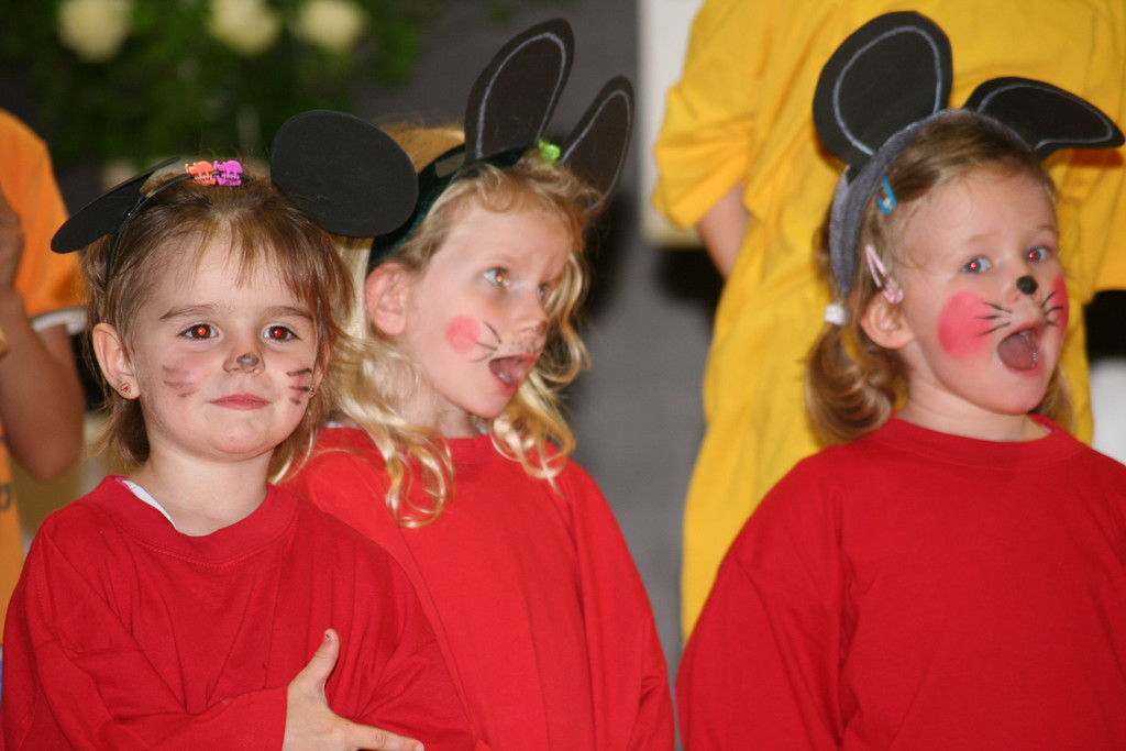IMG_8242_JPG-1368268360