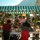10_Markt.JPG