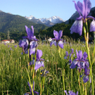 DSCN4810.jpg