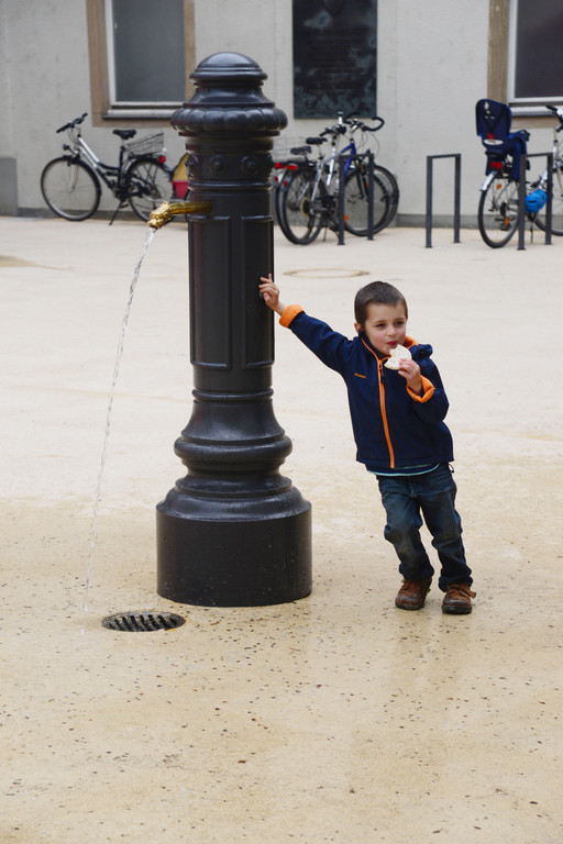 DSC_2323_jpg-1368289527