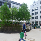 DSC_2340_jpg-1368289662