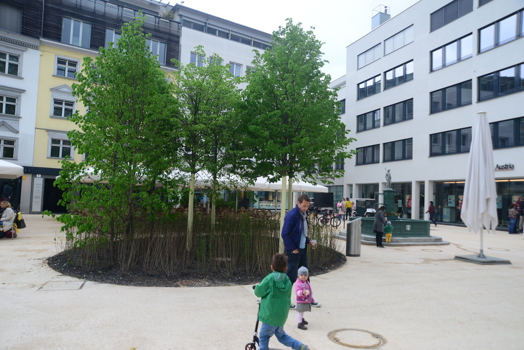 DSC_2340_jpg-1368289662