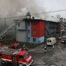 IMG_5233.JPG