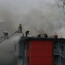 IMG_5235.JPG