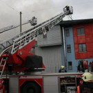 IMG_5249.JPG