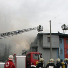 IMG_5253.JPG
