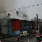 IMG_5229.JPG