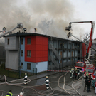 IMG_5238.JPG
