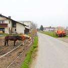 Holderweg_2_JPG-1368369279