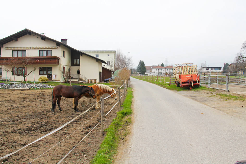 Holderweg_2_JPG-1368369279