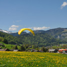 para6_jpg-1368379769