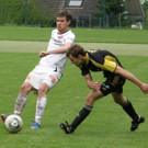 P5120098_JPG-1368380726