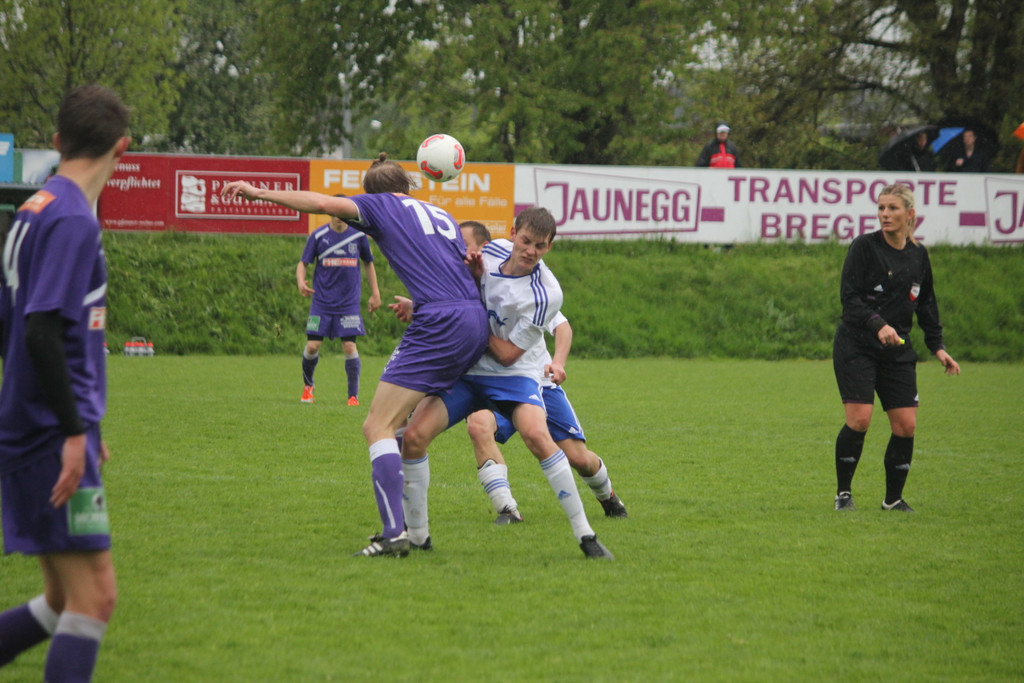 IMG_2311_JPG-1368382609