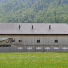 landwirtsymbol_JPG-1368386373