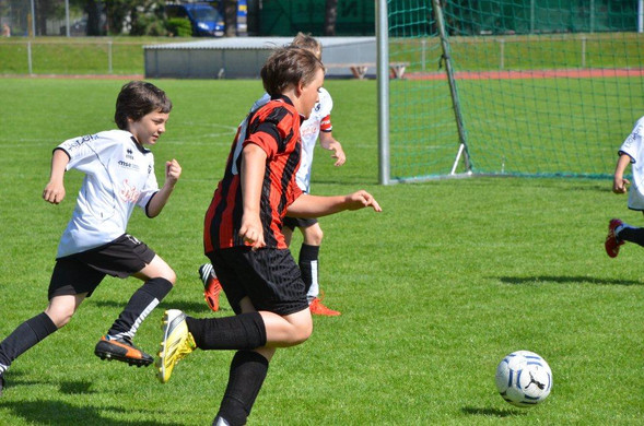 DSC_8787_jpg-1368386721