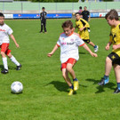 DSC_8801_jpg-1368386729