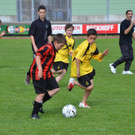 DSC_8817_jpg-1368386738