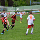 DSC_8854_jpg-1368386755