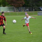 DSC_8855_jpg-1368386756